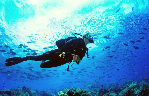 Daily 2 Dives from Hurghada