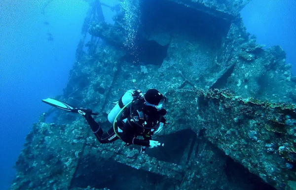 Daily Diving Sea Trip (Two dives & Wreck) - Hurghada