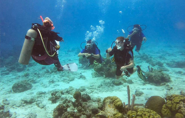 Open Water Dive Course